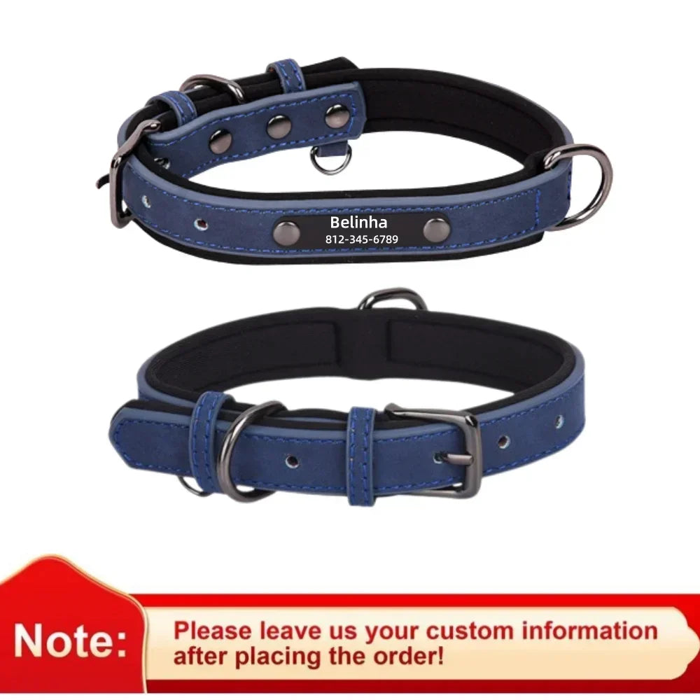 Padded Leather Dog Collar