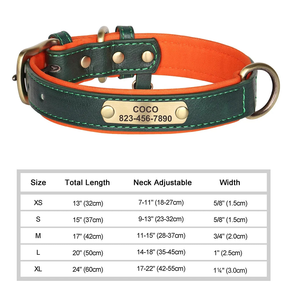 Padded Leather Dog Collar