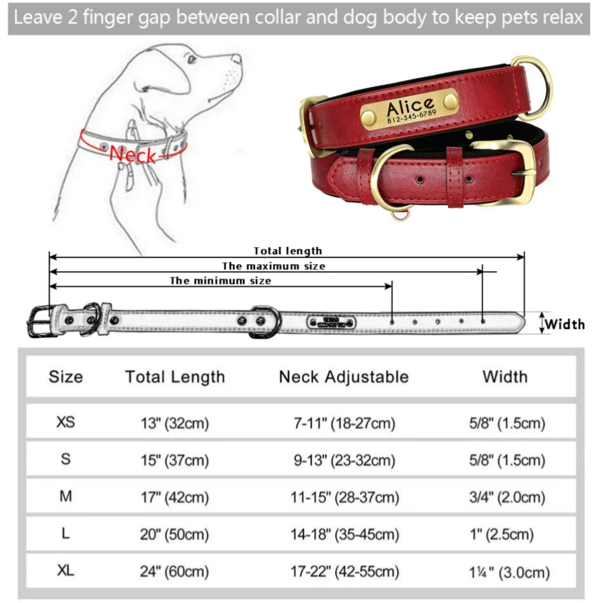 Padded Leather Dog Collar