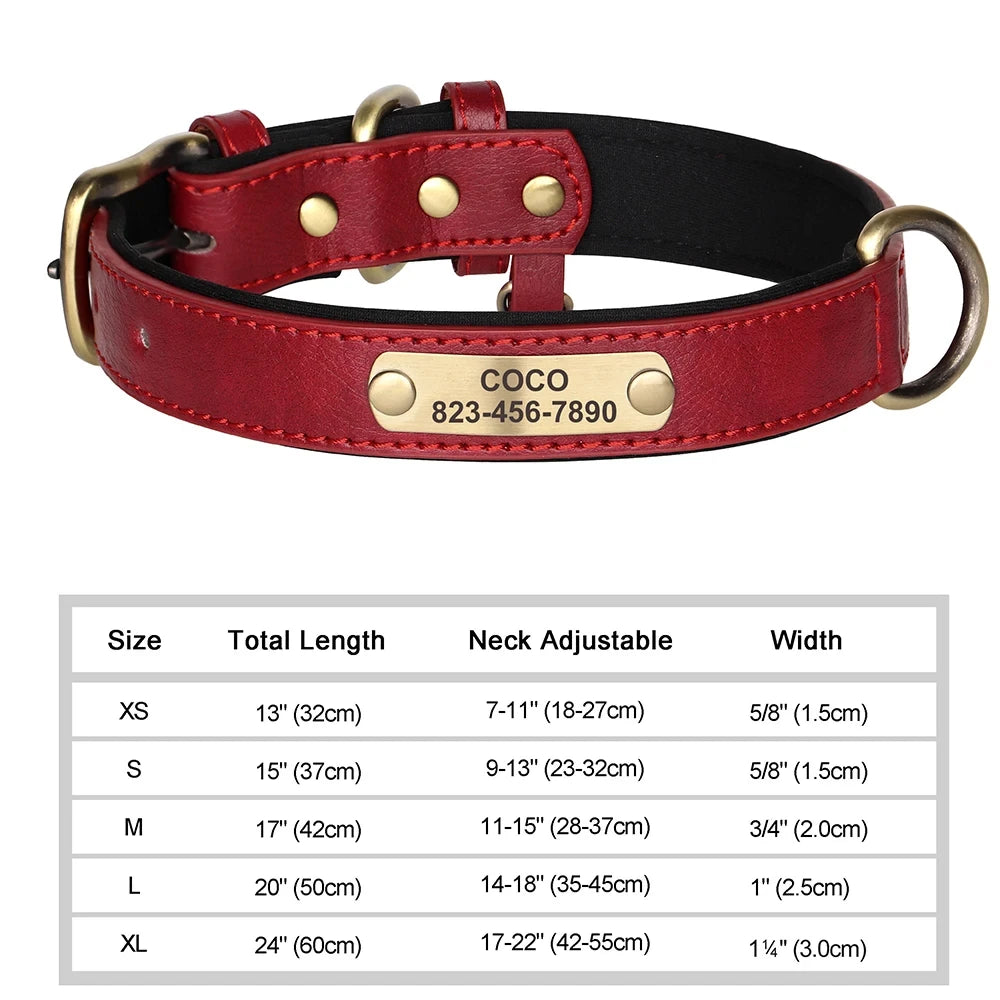 Padded Leather Dog Collar