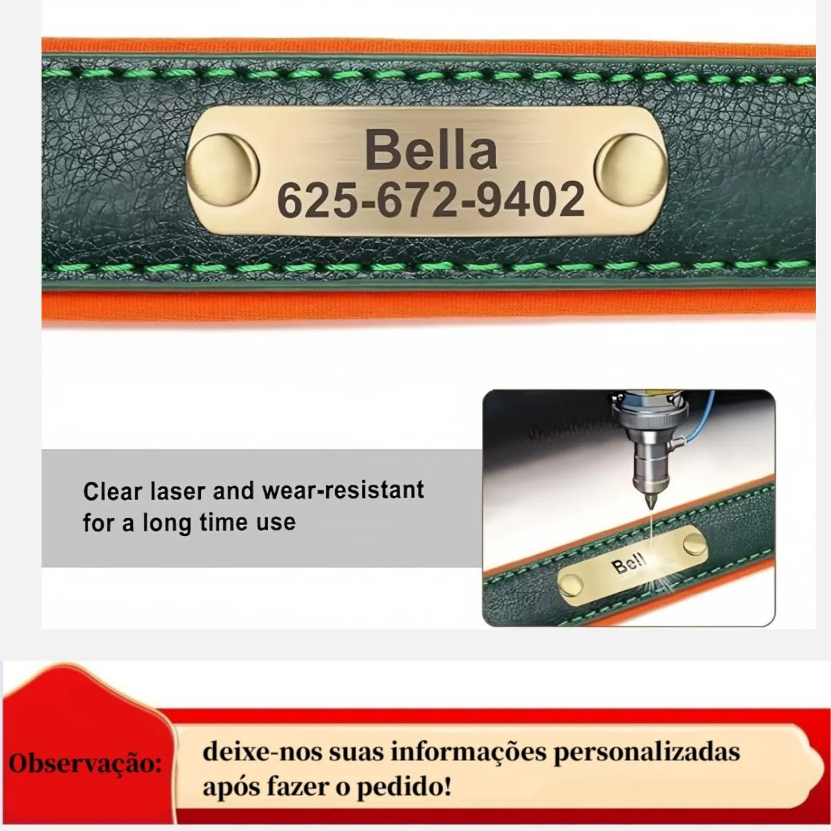 Padded Leather Dog Collar
