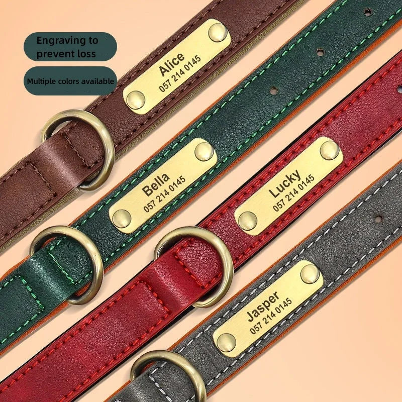 Padded Leather Dog Collar