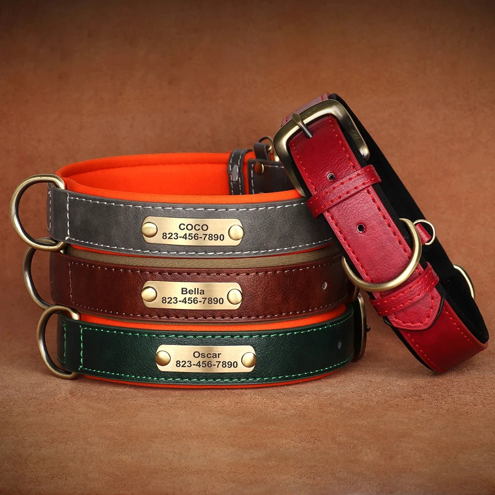 Padded Leather Dog Collar