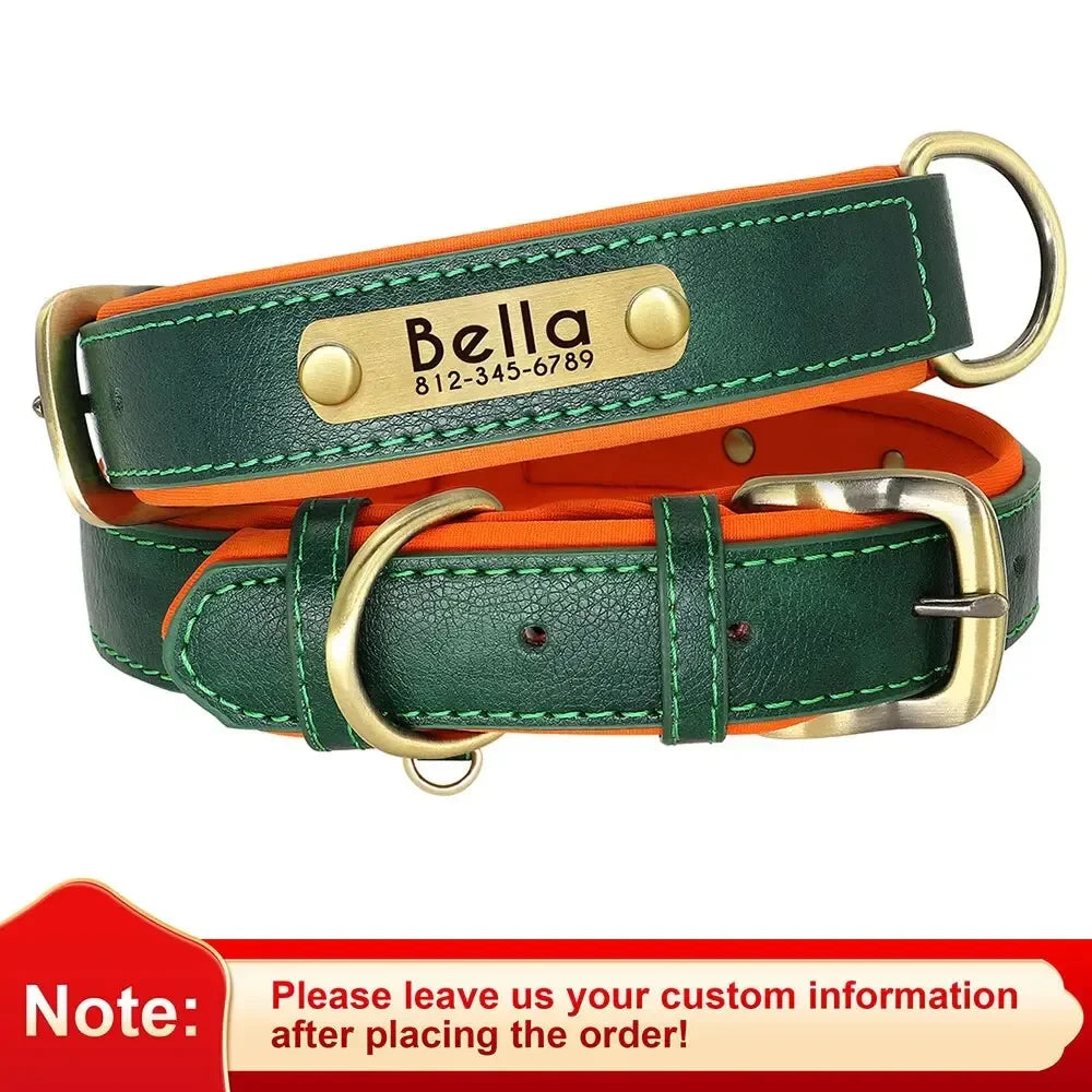 Padded Leather Dog Collar