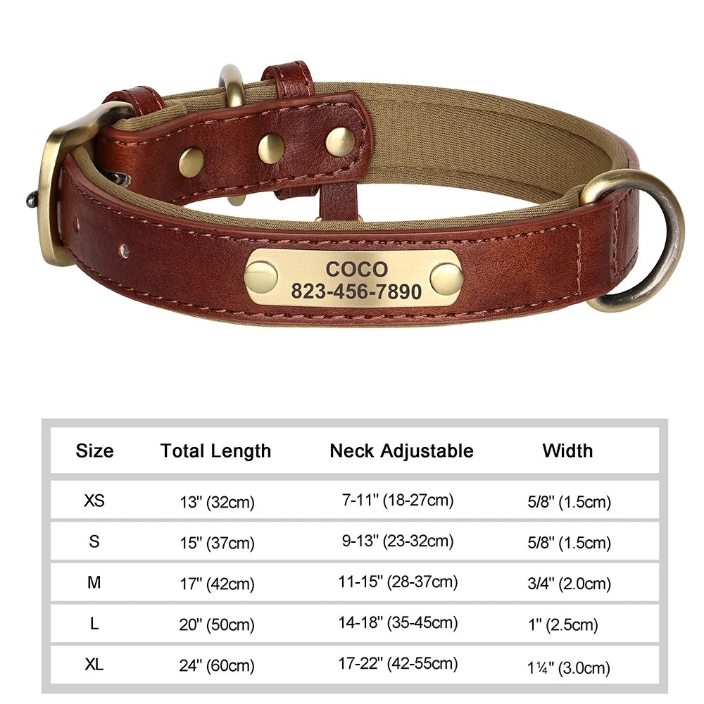 Padded Leather Dog Collar