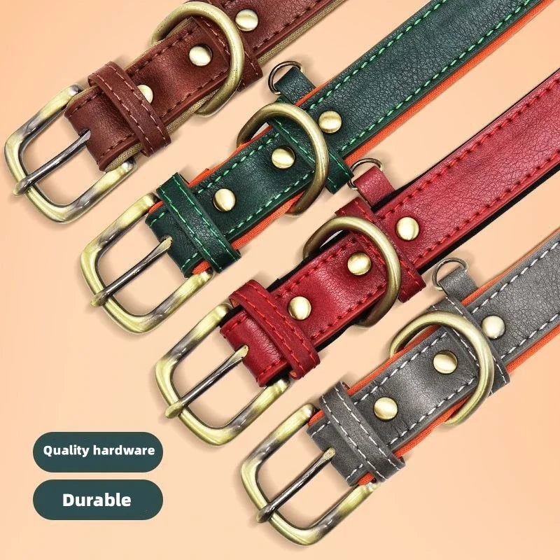 Padded Leather Dog Collar