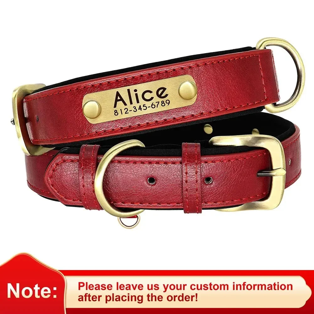 Padded Leather Dog Collar