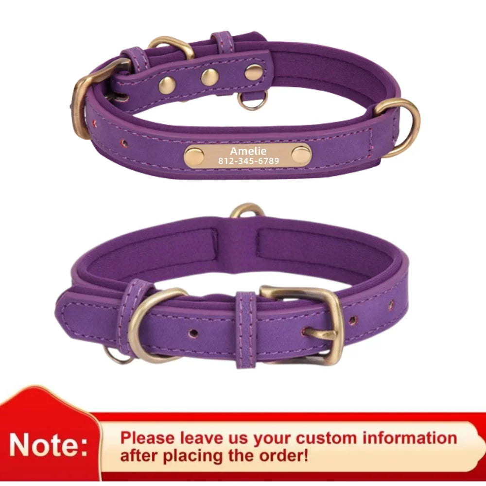 Padded Leather Dog Collar