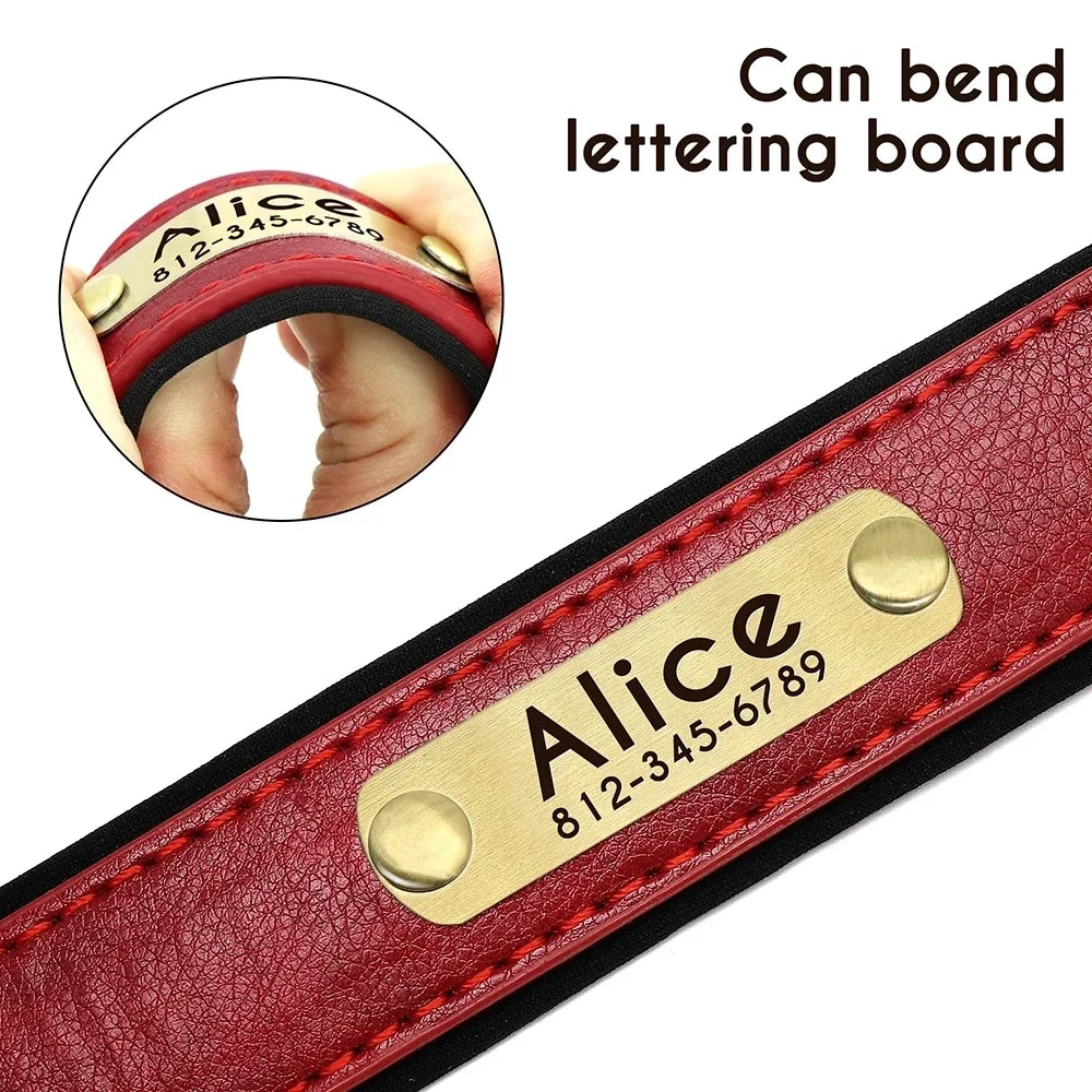 Padded Leather Dog Collar