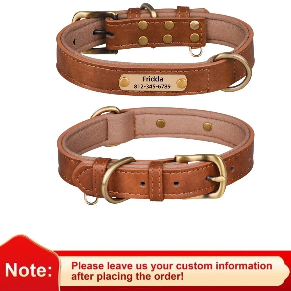 Padded Leather Dog Collar