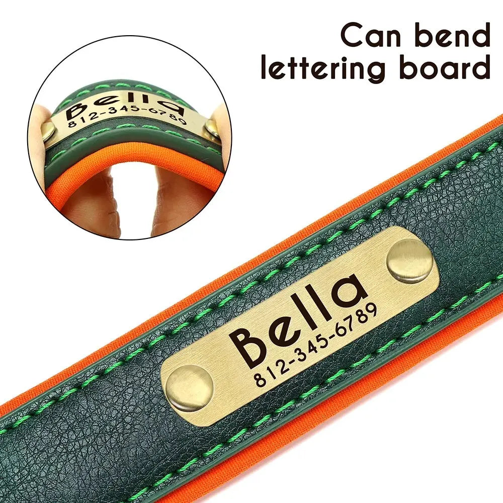 Padded Leather Dog Collar