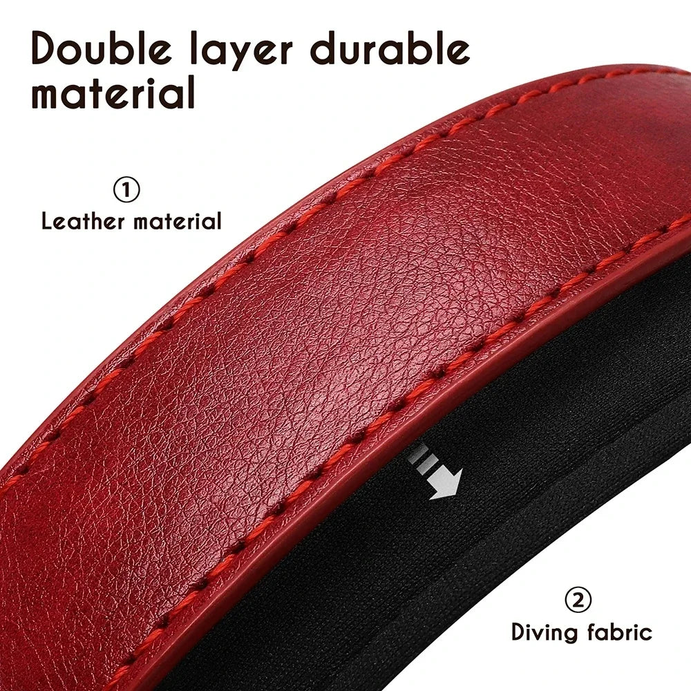 Padded Leather Dog Collar