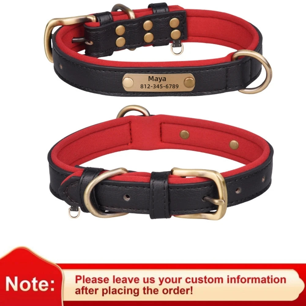 Padded Leather Dog Collar
