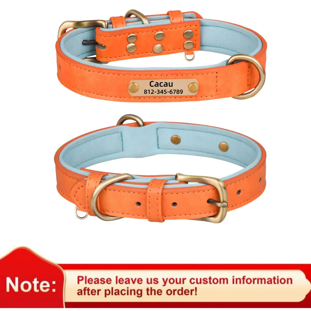 Padded Leather Dog Collar