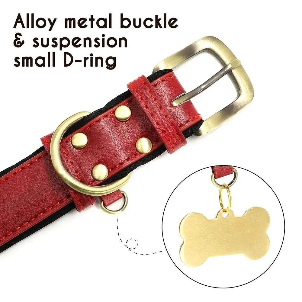 Padded Leather Dog Collar