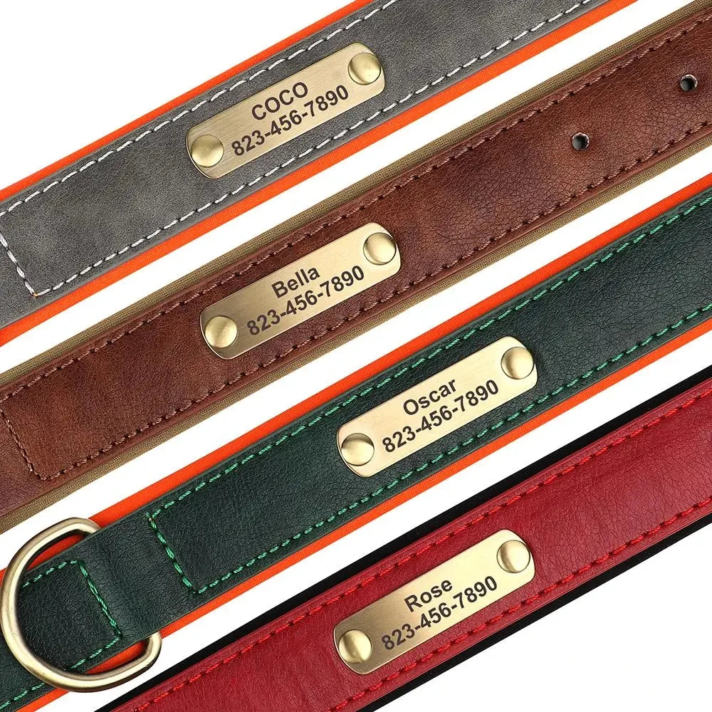 Padded Leather Dog Collar