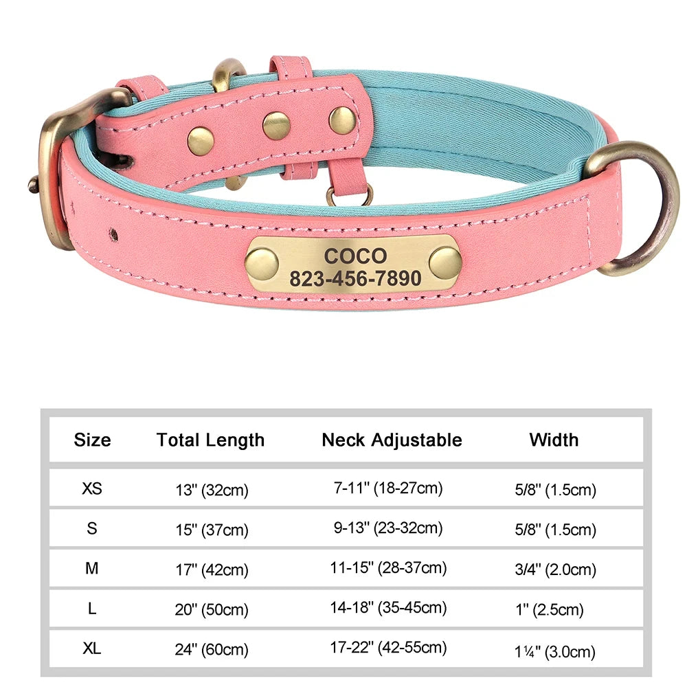 Padded Leather Dog Collar